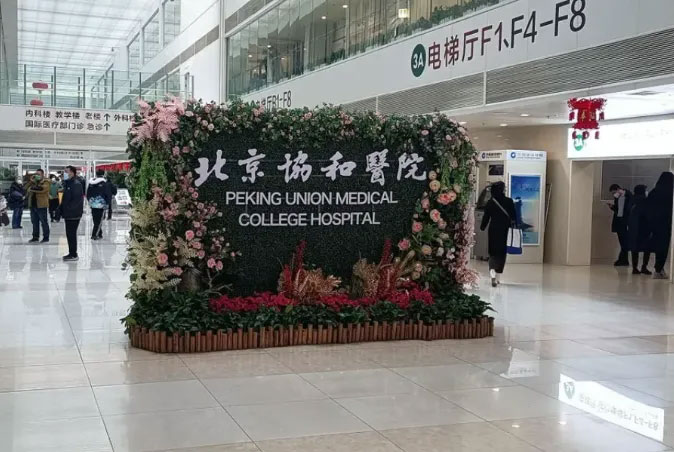分享一位朋友在北京协和医院做乳腺手术的过程，希望对您有所帮助